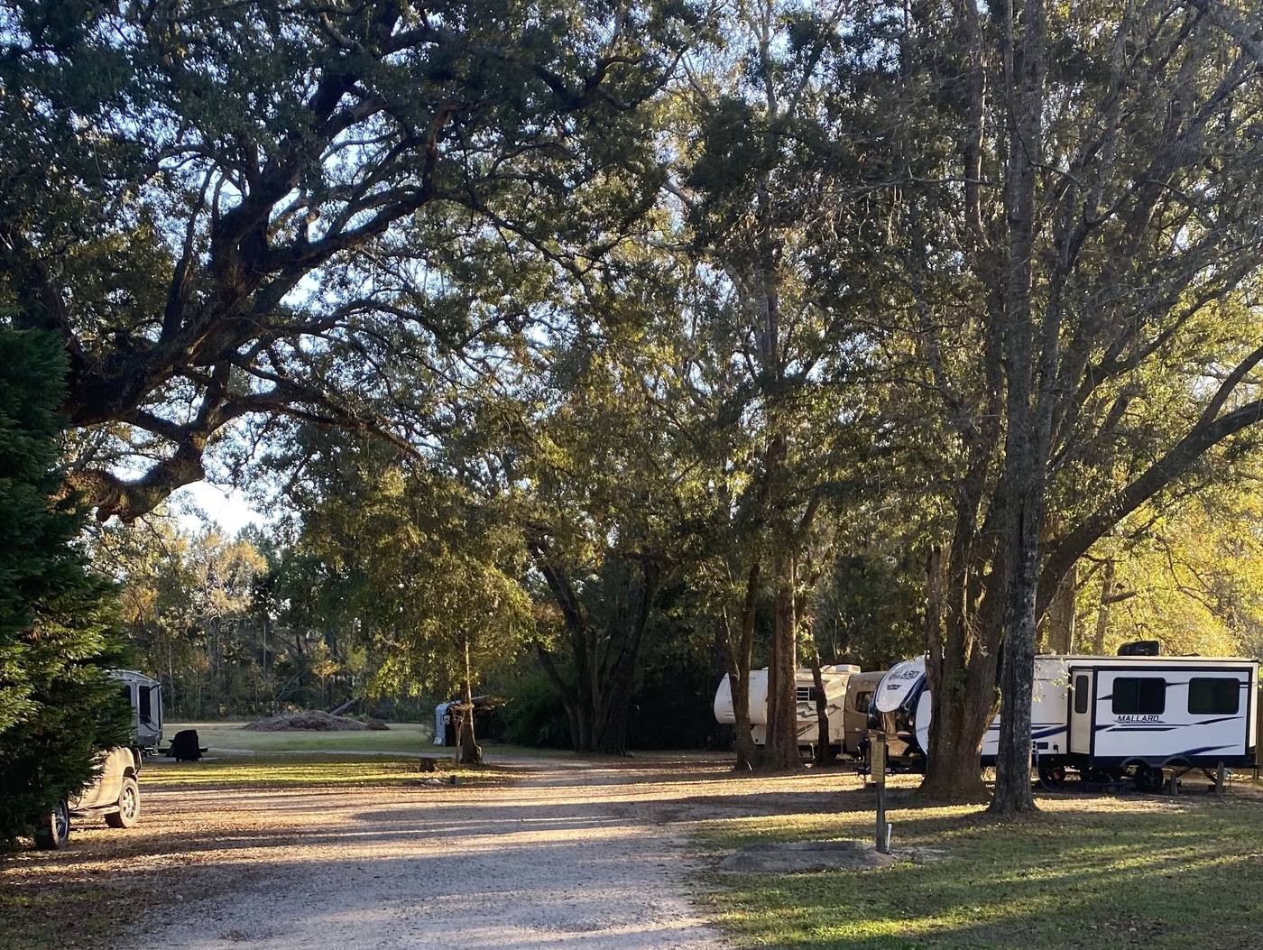 Shady campground road and RV sites under live oaks at I-65 RV Campground in Creola, Alabama