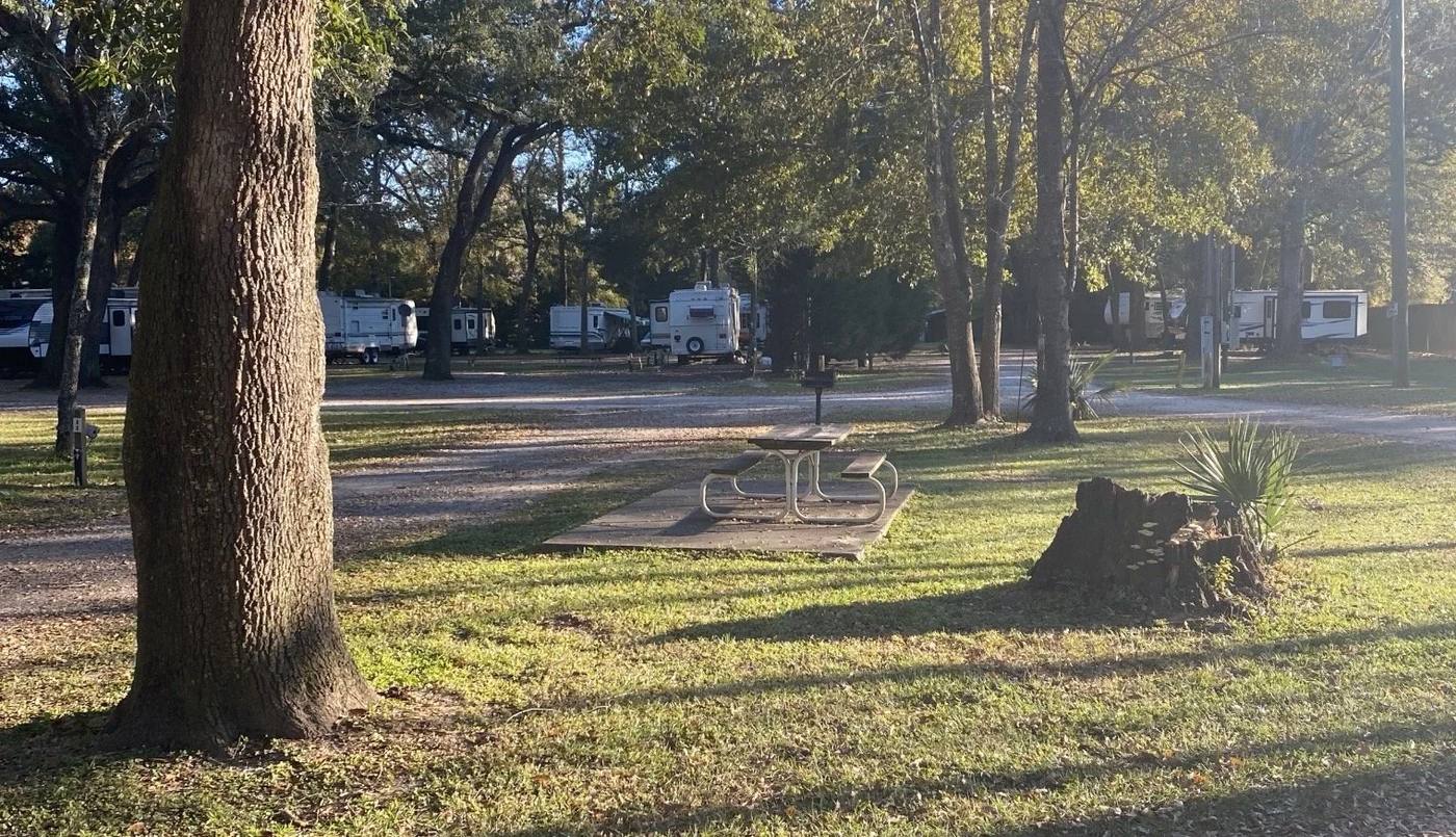 Picnic table under a shade tree