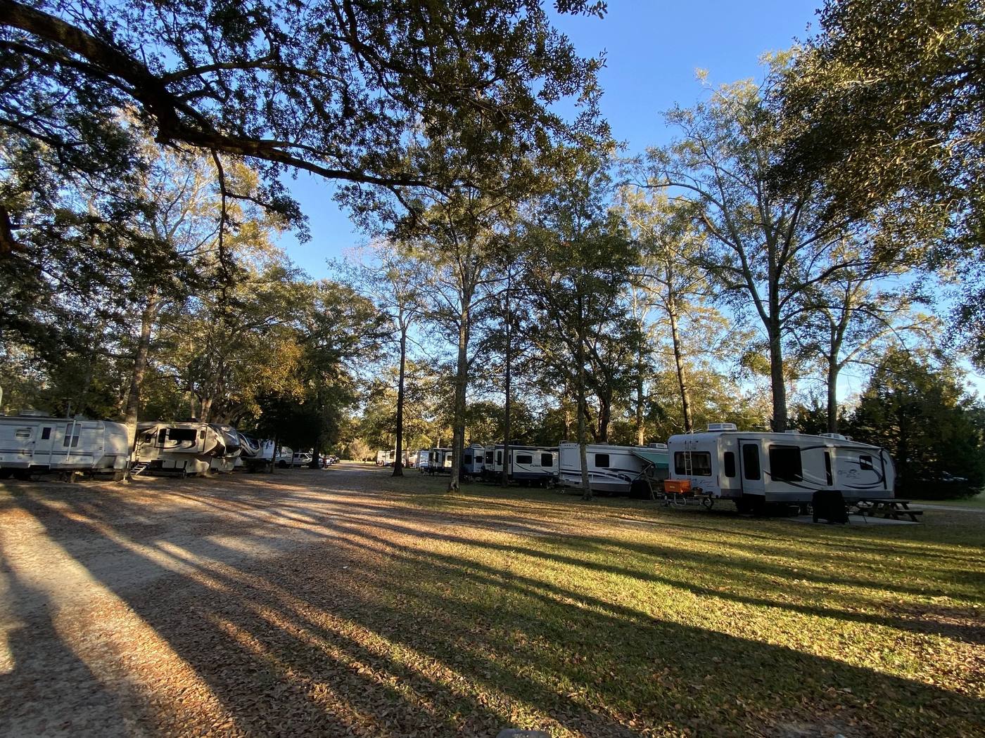 RV sites along the park road