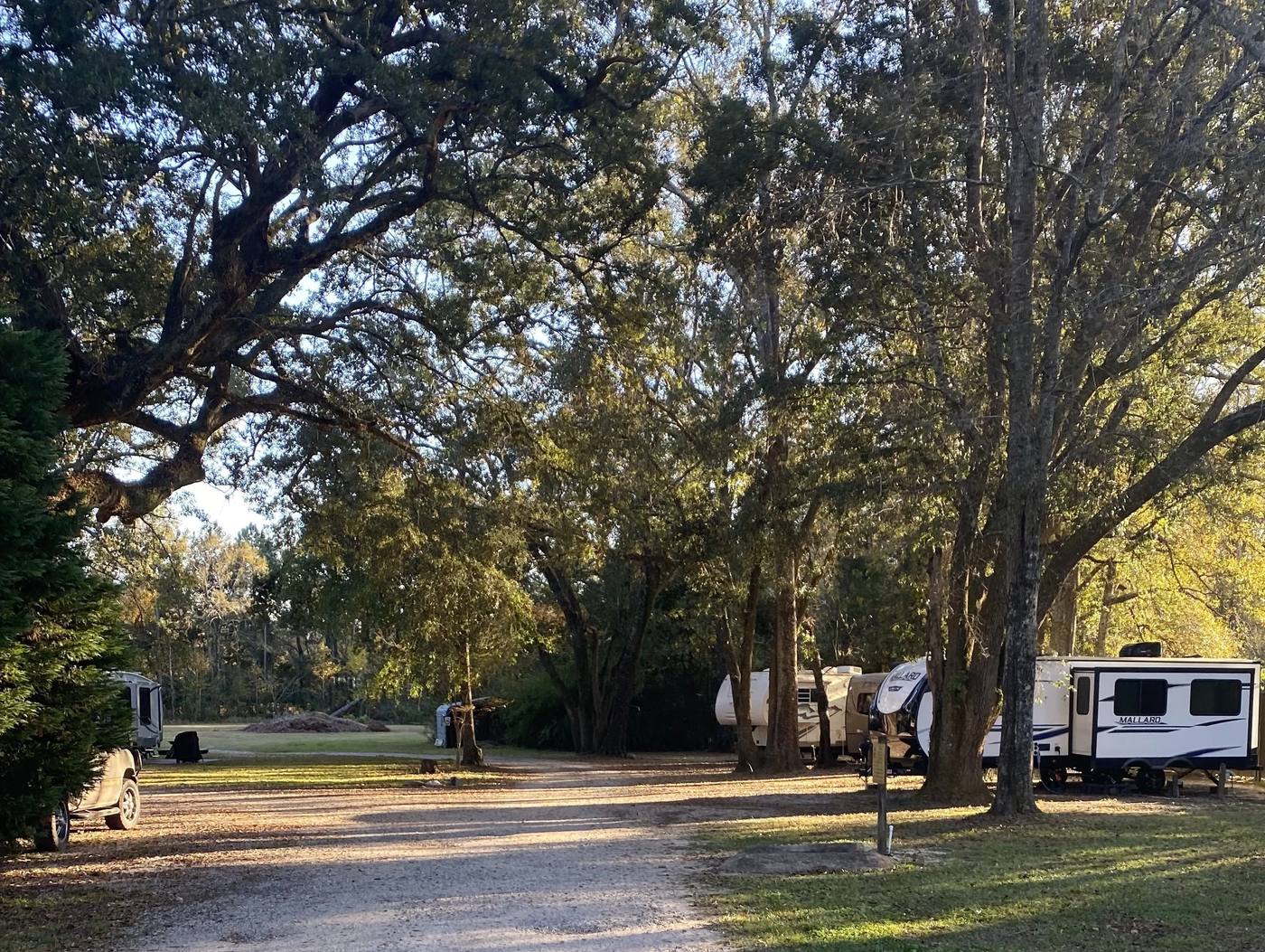 Travel trailers parked along the campground road