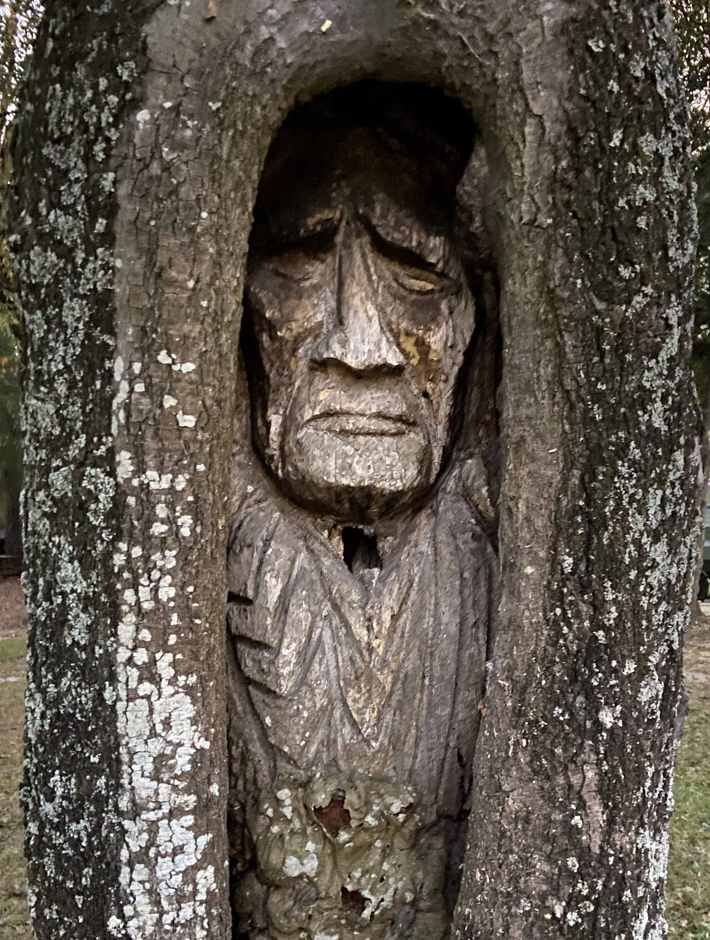 Face carved into a tree trunk at the campground