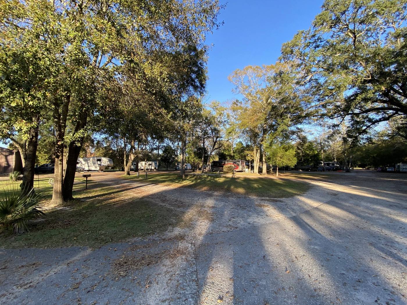Wide gravel park road through the campground